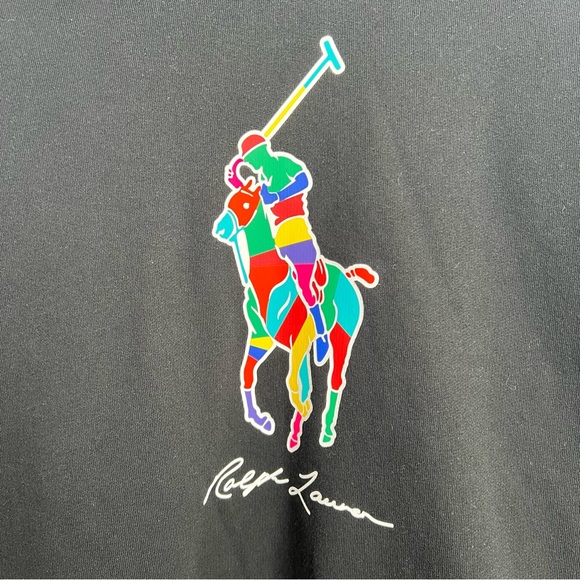 Polo Ralph Lauren The Big Fit Black Rainbow Pony Sweatshirt Hoodie. Size Large. - Picture 10 of 12